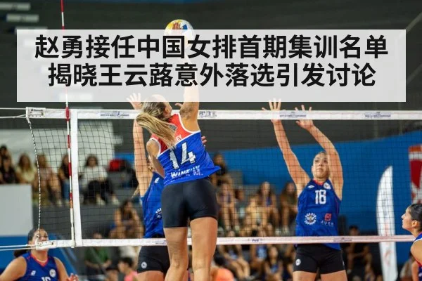 volleyball player spiking ball | kaiyun