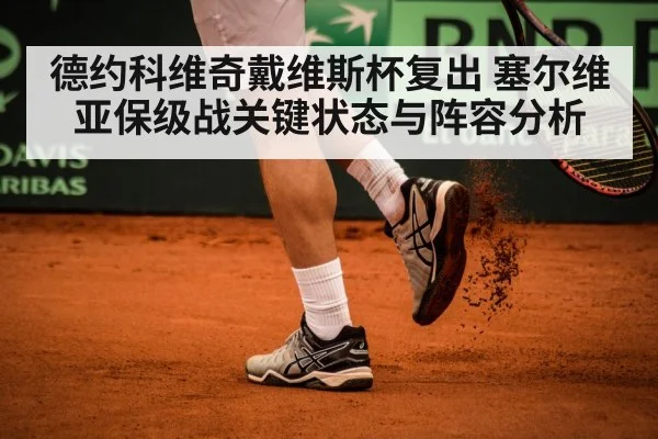Davis Cup tennis match